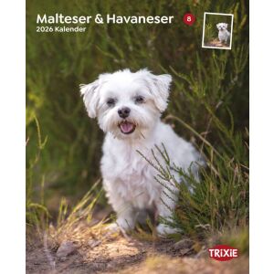 Trixie | Falinaptár Maltezerek & Havanezek – 2026 145136787 - Irodai kiegészítő
