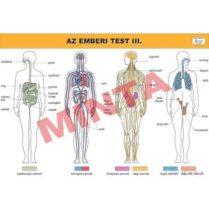 Az emberi test III. 145156404 - Természettudomány