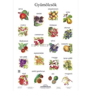 Gyümölcsök tabló poszter 145156576 - Poszter