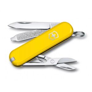 VICTORINOX 010-6223-8G ZSEBKÉS CLASSIC SD COLORS,SUNNY SIDE 145179419 - Victorinox