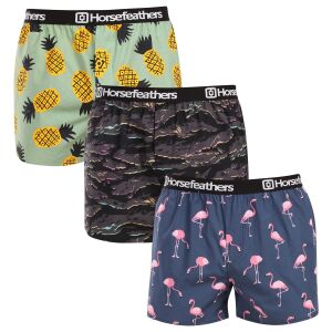 3PACK férfi rövidnadrágHorsefeathers Frazier csomag 9 (AM096L) M 145186994 - Horsefeathers