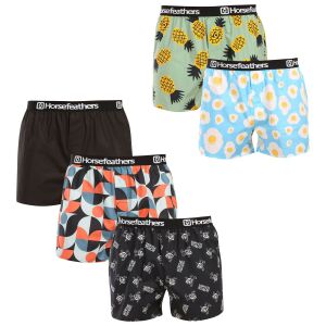 5PACK Férfi bő szárú boxeralsók Horsefeathers Frazier Bundle 3 (AM287C) L 145188236 - Horsefeathers