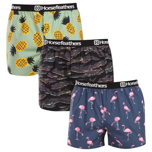 3PACK férfi rövidnadrágHorsefeathers Frazier csomag 9 (AM096L) XXL 145188817