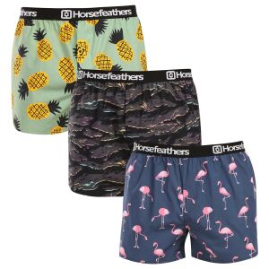 3PACK férfi rövidnadrágHorsefeathers Frazier csomag 9 (AM096L) XL 145189361 - Horsefeathers