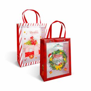 Vianočná darčeková taška - 24 x 19,5 x 9,5 cm - 2 druhy 145197064 - Darčekové balenie