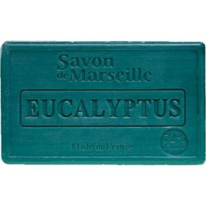 LE Chatelard_Marsilia săpun într-un cub Eucalipt 100g 145228283 - Săpun