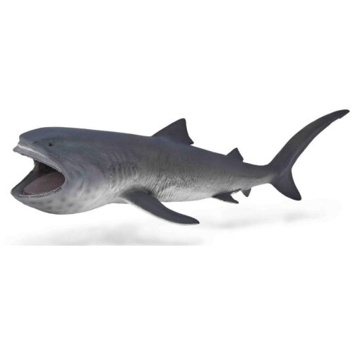 Óriás szájú cápa 145230274