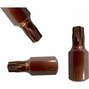 Forsage Bit TORX T60x30 mmL, 10 mm