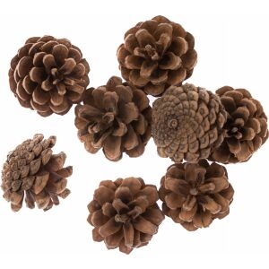 Szyszki 8szt 145260057 - Dekoracja sezonowa