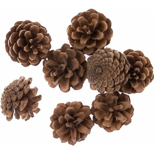 Szyszki 8szt 145260057