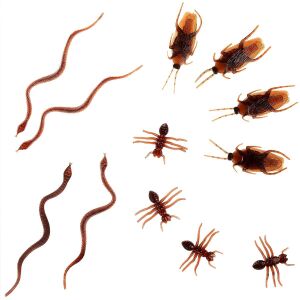 Halloween díszlet rovarok 6db 145263501 - Halloweeni dekoráció