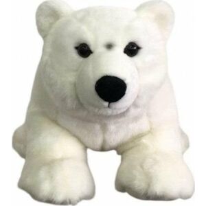 Sarki medve 62cm