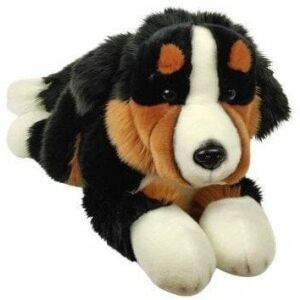 Berni pásztorkutya 30cm