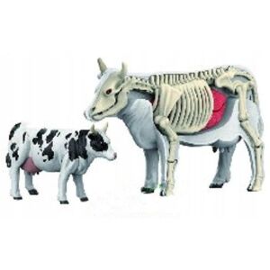 *****Anatómiai modell állatok 2002266 22664