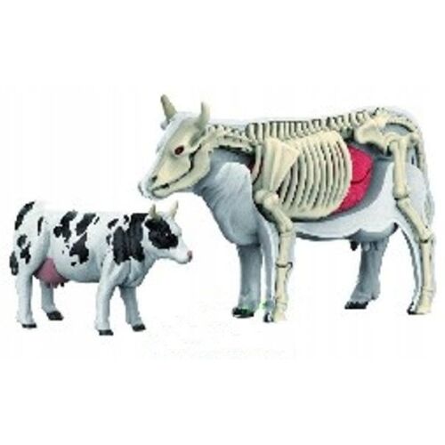 *****Anatómiai modell állatok 2002266 22664 145278624