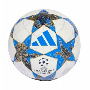 Adidas UCL Pro Sala JP1546 labda