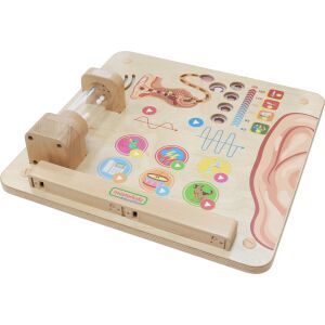 Consiliul Educațional MASTERKIDZ Sensul auzului Montessori 145292121 - Jocuri si jucarii educative
