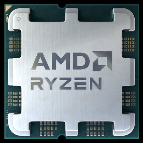 AMD 145293759
