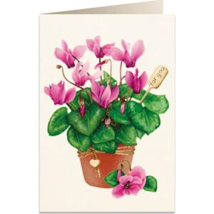 Tassotti Karnet B6 + plic 5756 Ciclamen 145294423 - Felicitări, invitații