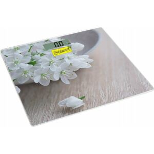 Fürdőszobai mérleg Maestro MR 1819 145295113 - Személymérleg