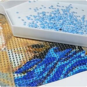 *5D DIAMANT MOZAIKA, 40x30 cm hattyúk 145309187 - Művészet & Hobbi