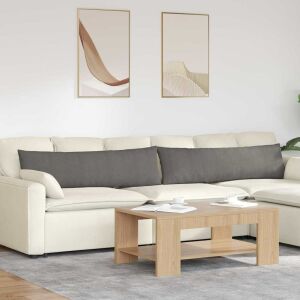 vidaXL Kanapé párnák 2 pcs Világosszürke 145 x 40 cm Bársonyos szövet 145365367 - Kert