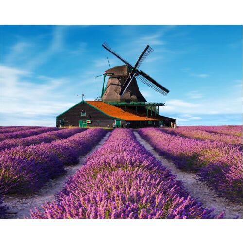 Fototapet Lavanda8, 300 x 200 cm, Levendulamező tapéta szélmalommal - Dekoráció