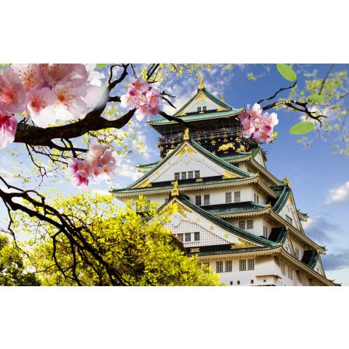 Fotótapéta Cseresznyevirág és hagyomány, 300 x 250 cm, Japán kastély és cseresznyevirág tapéta - Építkezés és felújítás
