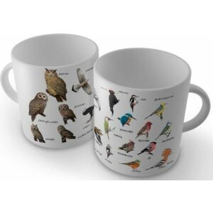 Soliton Kubek Ptaki Polski 145402528 - Kubek