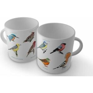 Soliton Kubek Kolorowe ptaki 145404776 - Kubek