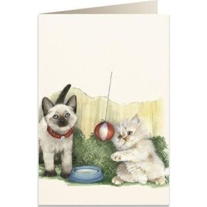 Tassotti Karnet B6 + koperta 7525 Białe kotki 145405612 - Felicitări, invitații