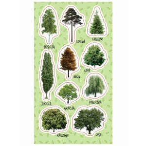 Fa matricák 145405994 - Matrica, mágnes