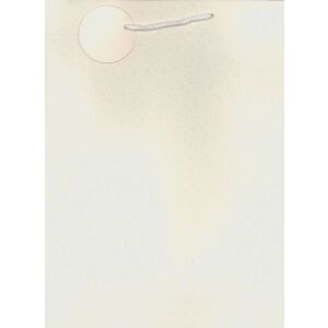 Pung cadou TRB p12 35-3 40x30x12 145410009 - Ambalaje cadouri