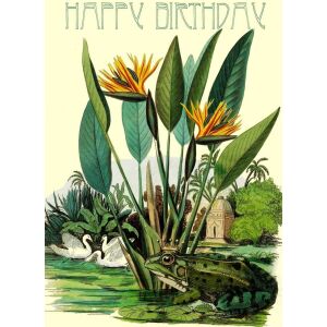 Doamna Treacle Carnet B6 cu plic Zile de naștere Broască 145410548 - Decoratii si echipamente pentru petreceri