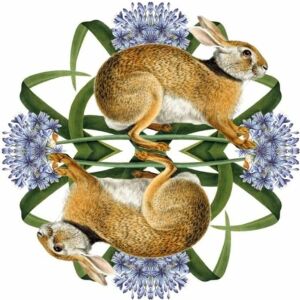 Muzee și Galerii Carnet pătrat cu plic Iepurele european brun 145410552 - Decoratii si echipamente pentru petreceri