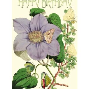 Doamnă Treacle Karnet B6 sclipitor cu plic Zile de naștere Clematis 145414948 - Felicitări, invitații