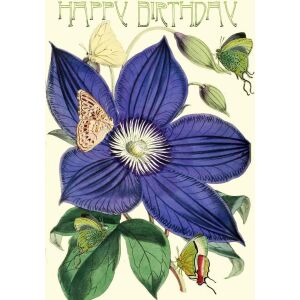 Doamnă Treacle Karnet B6 cu plic Zile de naștere Clematis 145415864 - Felicitări, invitații