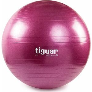 Tiguar Exercise Ball Body Ball Safety Plus 65cm lila