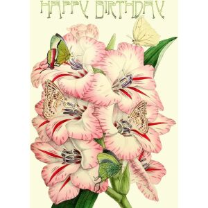 Doamnă Treacle Karnet B6 sclipitor cu plic Zile de naștere Gladiole 145418840 - Felicitări, invitații