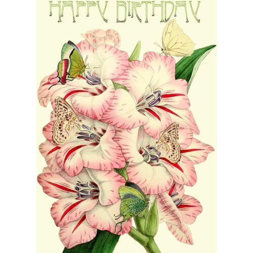 Doamnă Treacle Karnet B6 sclipitor cu plic Zile de naștere Gladiole 145418840