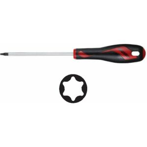 Teng Tools Șurubelniță tip TX T25 x 100mm (177790805) 145420432 - Șurubelnițe