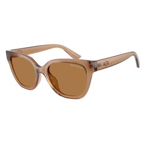Ochelari de soare AX4164SU 839673 53 Maro 145426512 - Ochelari de soare pentru barbati