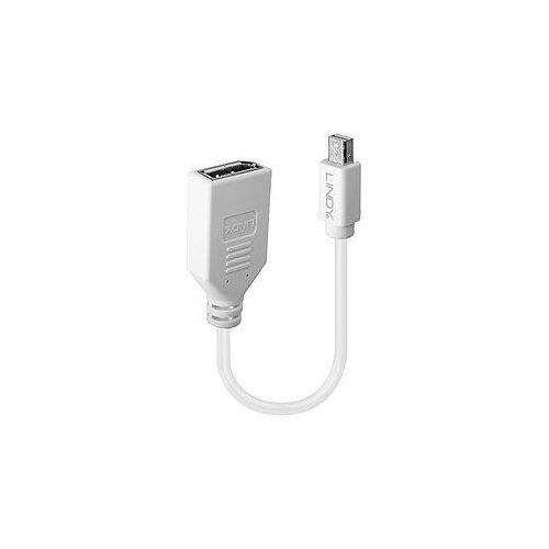 ADAPTER MINI DP AUF DP/0,2M 41021 LINDY 145464099