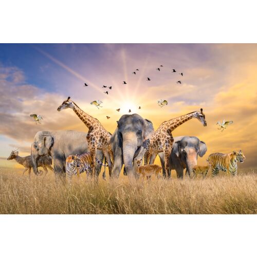 Fototapet Animale din savana africana tapéta elefántokkal, zsiráfokkal, tigrisekkel és szarvasokkal naplementekor - Tapéta