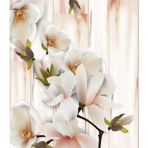 Fototapet Abstract floral2, 400 x 250 cm, virágos tapéta, magnólia virág minta - Barkács és DIY