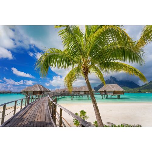 Házak a vízen öntapadós tapéta, trópusi tengerparti házak és pálmafák, ideális nappali vagy hálószoba faldekorációhoz - Otthon és kert