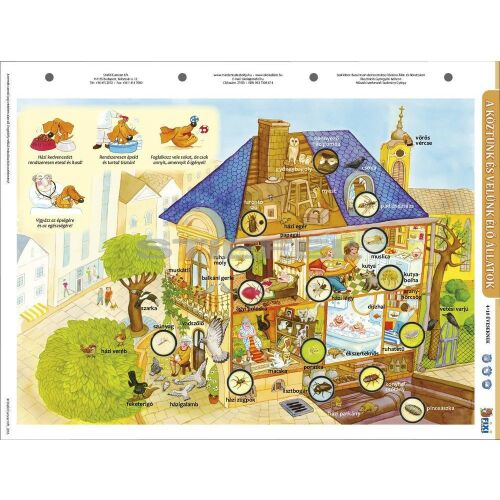 A köztünk és velünk élő állatok tabló 145652708