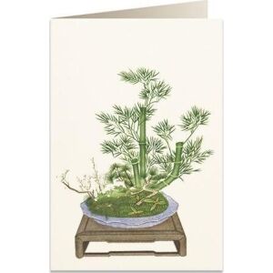 Tassotti Karnet B6 + plic 6013 Bambus 145656470 - Felicitări, invitații