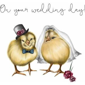 Creare clară Karnet ślubny Swarovski kwadrat pisklęta (CL0304) 145656740 - Decoratii si echipamente pentru petreceri