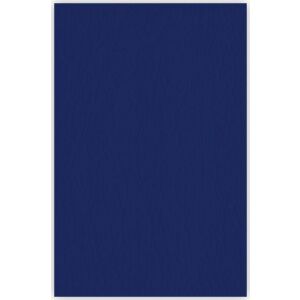 Argo Karton kötéshez bőrszerű A4 ARGO DELTA 407065 kék 25 db